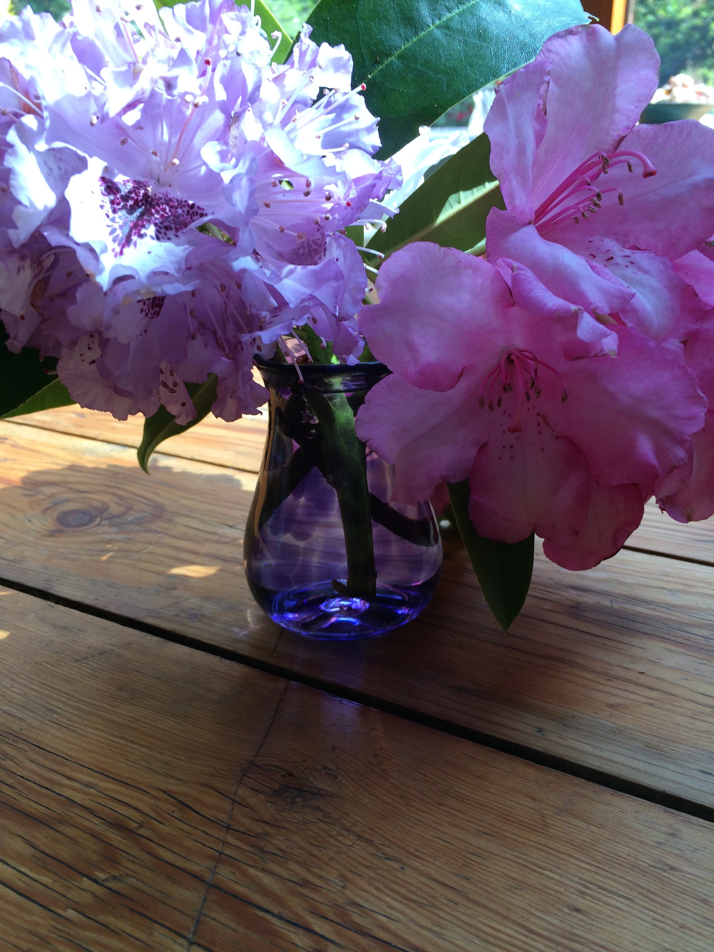 Pink flowers in a violet glass vase